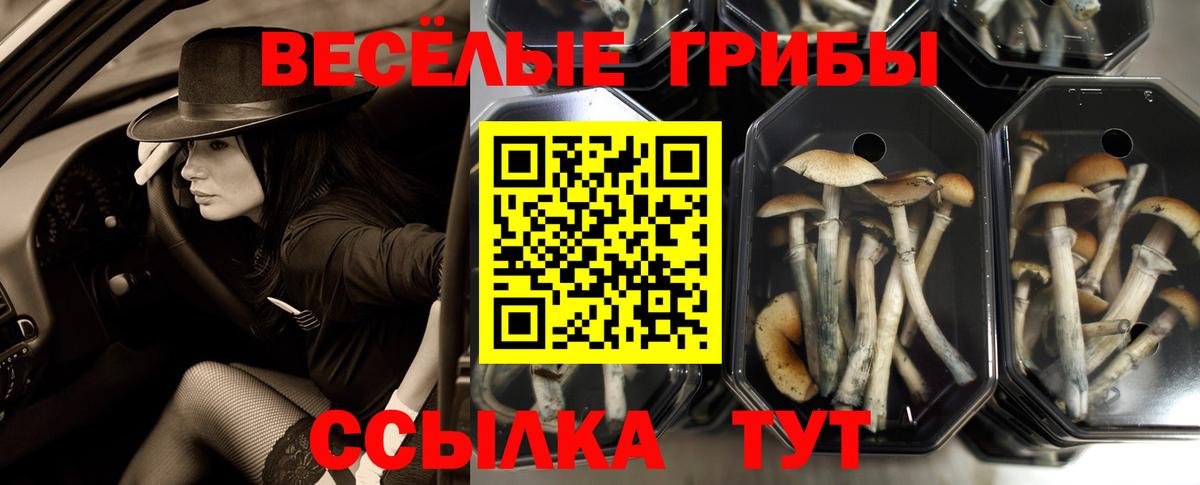 Галлюциногенные грибы прущие грибы Асбест